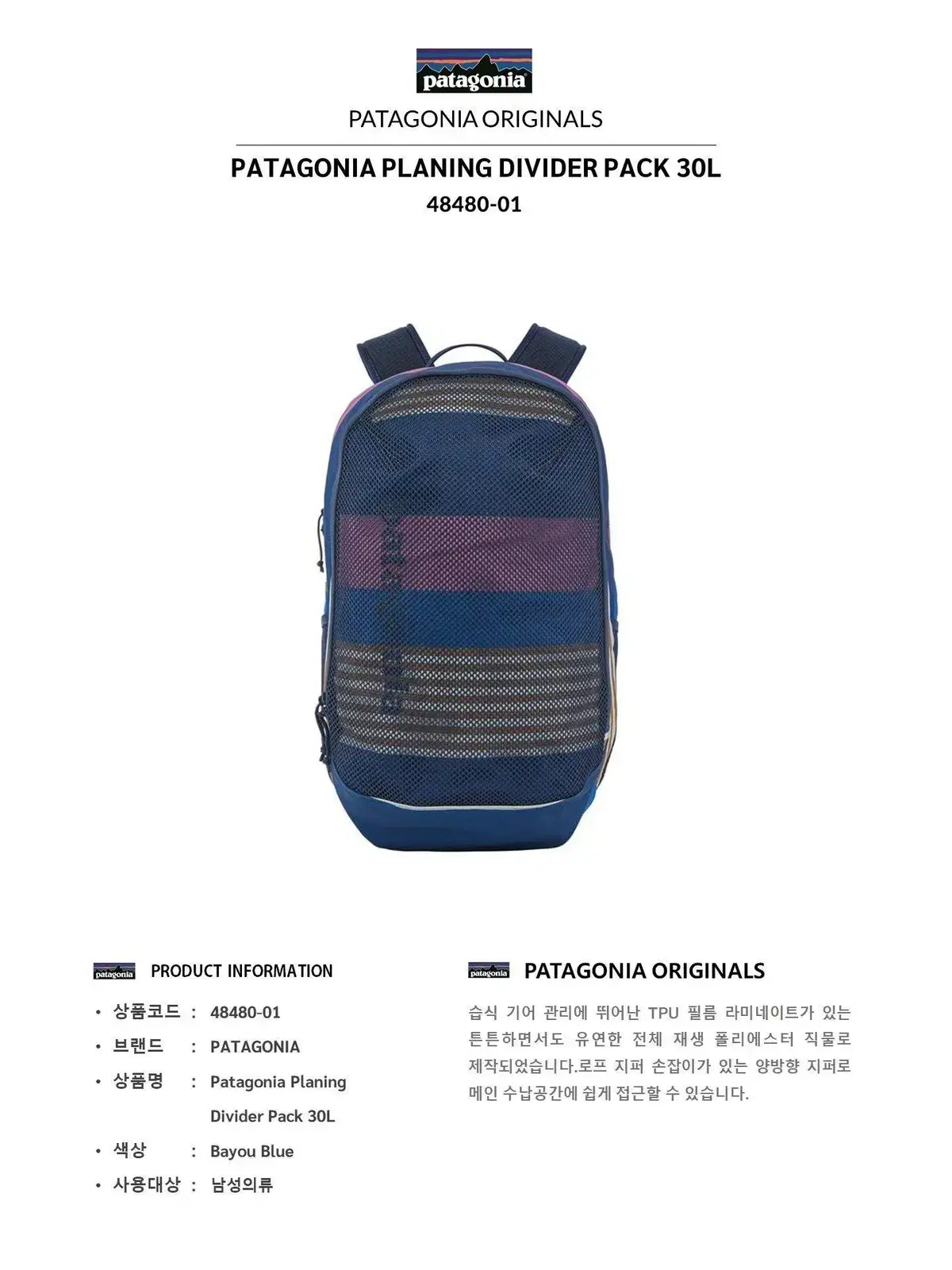 Patagonia Planing Divider Pack 30L